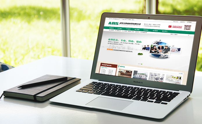 武汉艾米森家具有限公司